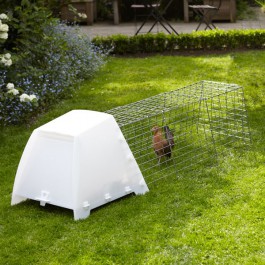 Chicken Coop Urban Klap