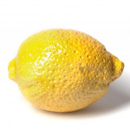 Céramique Citron Brillant Sculpture Jaune BullStein JardinChic