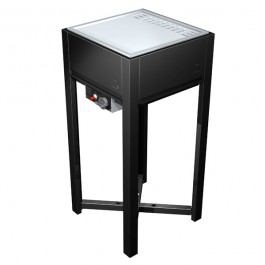 Plancha à Gaz en Inox Jardinchic