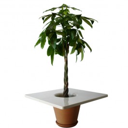 Table-Pot CompagnieJardinChic