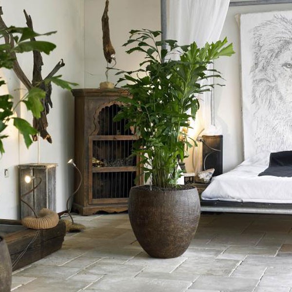 Gärtner Des Innern Krokodil Design - JardinChic Gärtner Des Innern Krokodil Design - JardinChic