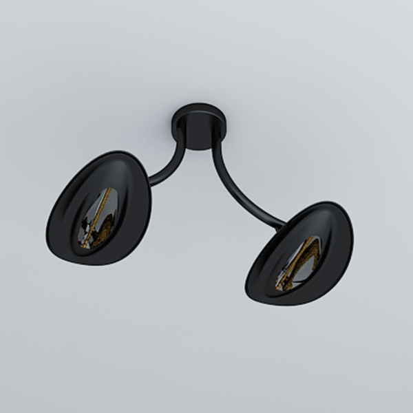 Plafonnier Chauffant Double Modèle Noir Phormalab JardinChic Plafonnier Chauffant Double Modèle Noir Phormalab JardinChic