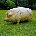 Gefleckte Schwein Statue