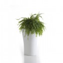 Topf 70 Knochen