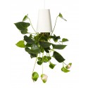 Sky Planter Anlage Recycelt