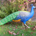 Peacock-statue