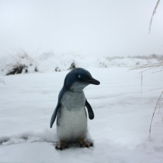 Baby-Pinguin-statue