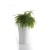 Topf 70 Knochen