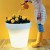 Pot Light Bloom H60cm