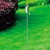 Fackel Der Garten Einpflanzen Dreieck