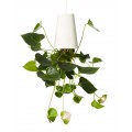 Sky Planter Anlage Recycelt