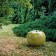 Keramik Apple geniale Riese Atmosphäre BullStein JardinChic