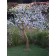 Arbre Pommier Lumineux Blanc Froid TexArtes Jardinchic