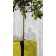 Pot Btyline Bacsac Atmosphäre JardinChic
