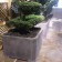Tablett Zink Baum Domani JardinChic