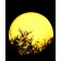 Ball der hellen LED-Kugel-01-JardinChic
