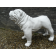 Statue Bulldog Anglais Laqué Blanc Texartes Jardinchic