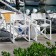Faltbarer Stuhl Regista Serralunga JardinChic