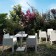 Satz von 2 Stühlen stapelbar Spielzeug Terrasse Driade JardinChic