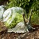 Zoom Bell Salat Schnecke Jardinchic