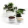 Sammlung Green Sockeln die Offecct Jardinchic