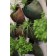 Wand-Pflanzer Cozo Ambiente Kunst Erde JardinChic