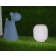 Assise Doggy & Lampe Honey 1825 Serralunga JardinChic