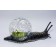 Bell Salat Schnecke lila Kraft Jardinchic