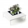 Tisch niedrig Fensterblatt Jardinchic