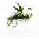 Jardinière Green Säulenfüße Jardinchic