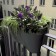 Jardinière de Balcon Steckling Duo Gris Anthracite Rephorm Jardinchic