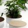 Alle Sitzsack + Couchtisch und Jardniniere runden grünen Sockel Jardinchic