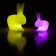 Petite Lampe à batterie Rabbit Small - LED Variation Rose avec Lampe à à batterie Rabbit Lamp - Variation LED Jaune vendue séparément Qeeboo Jardinchic