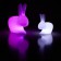Petite Lampe à batterie Rabbit Small - LED Variation Blanc avec Lampe à à batterie Rabbit Lamp - Variation LED Rose vendue séparément Qeeboo Jardinchic
