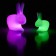 Petite Lampe à batterie Rabbit Small - LED Variation Rose avec Lampe à à batterie Rabbit Lamp - Variation LED Vert vendue séparément Qeeboo Jardinchic