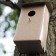 Zuführung unterhalb Luminaria JardinChic Karton