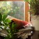Karotte Anpflanzen Jardinchic indoor