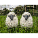 Statue Moutons TexArtes JardinChic