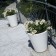 Pot neue Topf 70 Terrasse Serralunga JardinChic