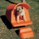 Nischen Hund Haus Orange Magis JardinChic