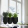Gärtner Pflanzen Tasche Sx3 Urban Garten Gesicht Atmosphäre Authentics JardinChic