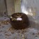  Apple in Keramik brillante Polyresin lackiert jardinchic