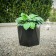 Pot Ceres 50 Noir Pdconcept Jardinchic