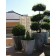 Ensemble Pot Zinc Cone Large Ambiance Domani JardinChic