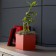 Pot Cubo Rouge Vondom Jardinchic