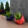 Pots Dione Bleu Foncé et Rouge Pdconcept Jardinchic