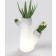 Pot Kaktus Lumineux Pdconcept Jardinchic