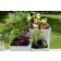 Kiga Hurbz JardinChic Garten Gartentisch 