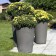 Topf Alto Eternit JardinChic