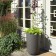 Topf Geisha Atmosphäre Eternit JardinChic
